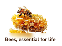 Group 1000006019 (1)