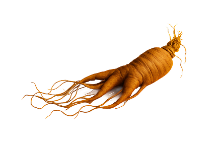 31f456c5-ebf0-4a44-a80f-13c328e17d17 1