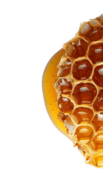 Frame 1000006021 (1)