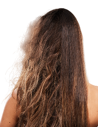 stock-photo-frizz-heat-damage-and-hair-of-a-woman-isolated-on-a-brown-background-in-a-studio-back-salon-2291908055 1